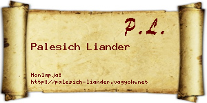 Palesich Liander névjegykártya